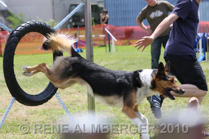 Bild 450.jpg